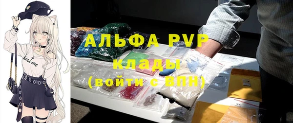 эйфоретик Новокубанск